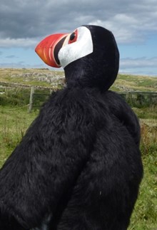 Our new puffin mascot on the Isle of May: Picture copyright Scottish Natural Heritage