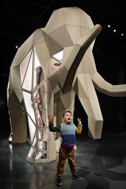 Arlo Cook (5) meets a mammoth at the National Museum of Scotland’s exhibition Giants. Photo © Stewart Attwood