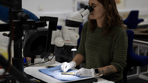 Time lapse of conservation