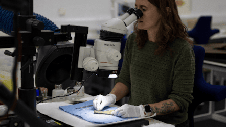 Time lapse of conservation