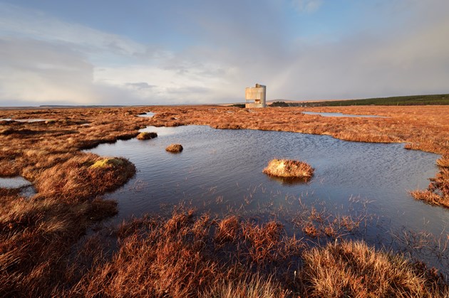 Media invite: UK Government Minister for Scotland to visit Flow Country World Heritage Project: RSPB Forsinard Flows lookout tower, The Flow Country, Sutherland