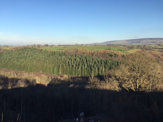 View of the site of the landslip at Eden Brows