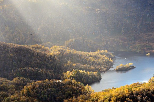 Vital benefits of Scotland’s nature now increasing year on year: Loch Katrine from Ben A'an in the Great Trossachs Forest National Nature Reserve. ©Lorne Gill/SNH