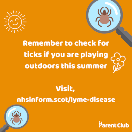 1080x1080 - Check for Ticks - Lyme Disease Static