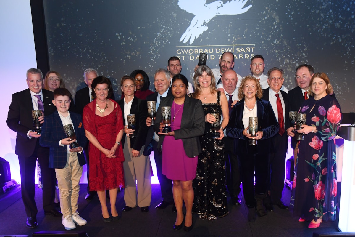 St David Awards 2026 winners