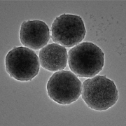 Engineered magnetic nanorobots about 300nm in diameter. Image credit- Jian Wu: Engineered magnetic nanorobots about 300nm in diameter. Image credit- Jian Wu