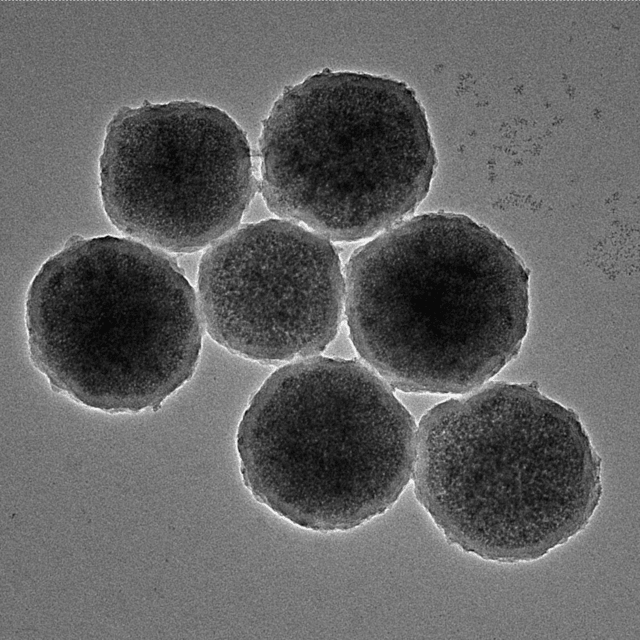 Engineered magnetic nanorobots about 300nm in diameter. Image credit- Jian Wu