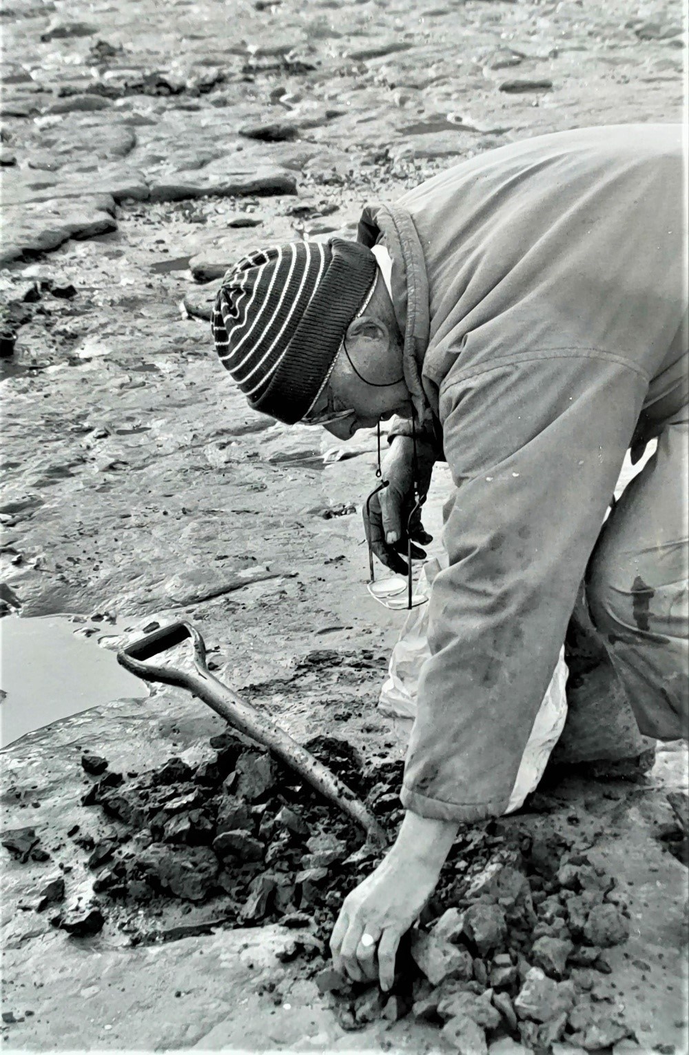 Michael Daniels excavating fossils Walton-on-the-Naze 