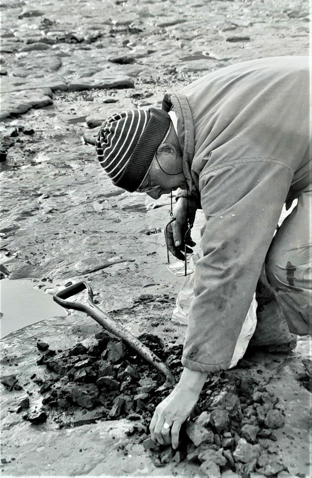 Michael Daniels excavating fossils WaltonontheNaze Michael Daniels excavating fossils WaltonontheNaze