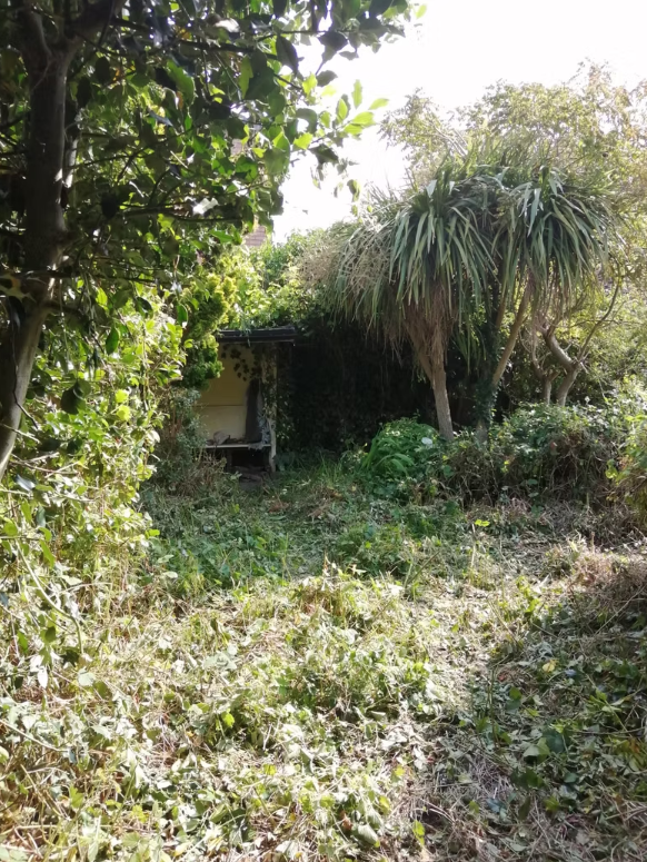 Newly clearled access route opening up more of the site for community use