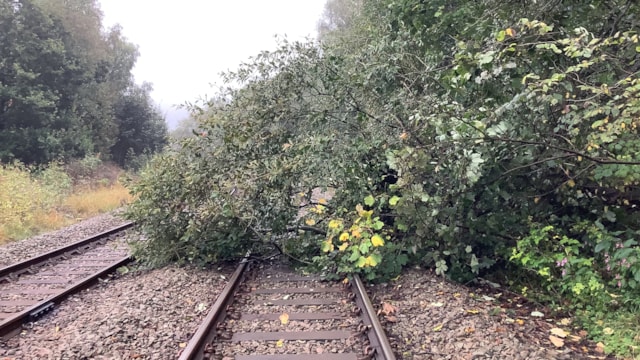 North of England rail travel advice during Storm Bert this weekend: Fallen tree copy