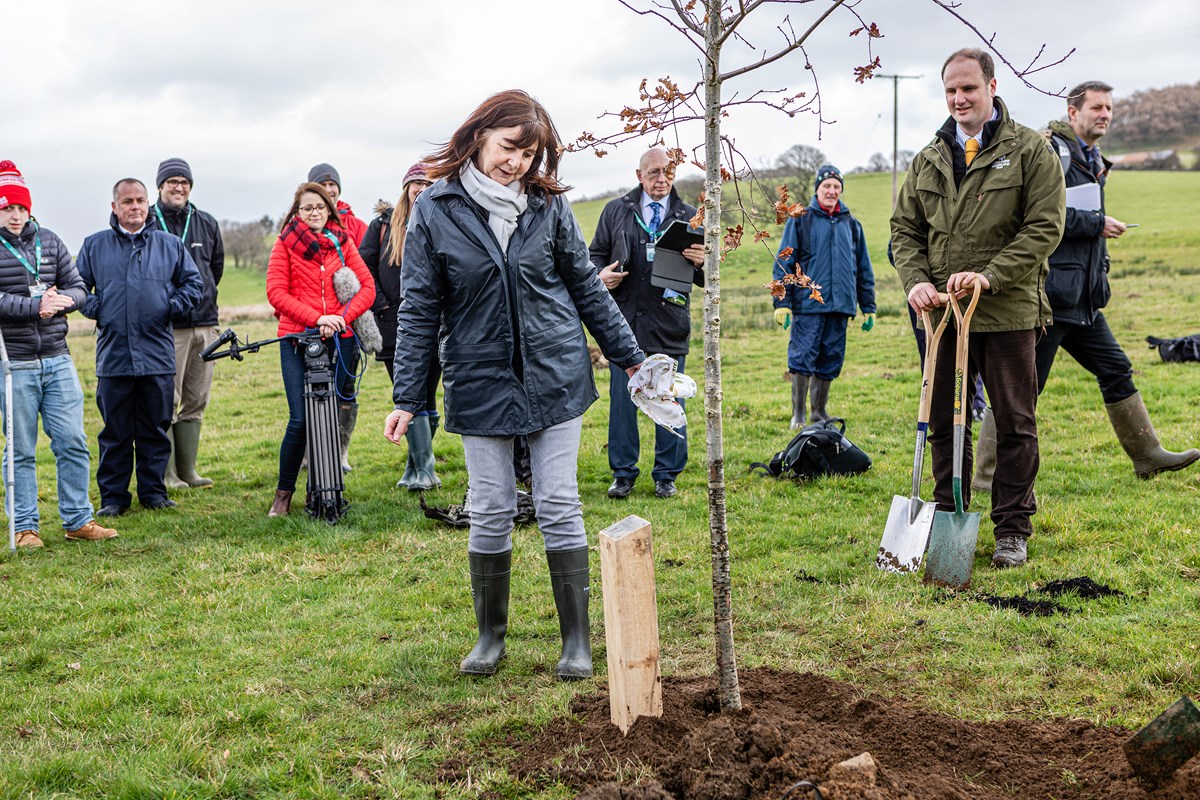 NATIONAL FOREST
LESLEY GRIFFITHS