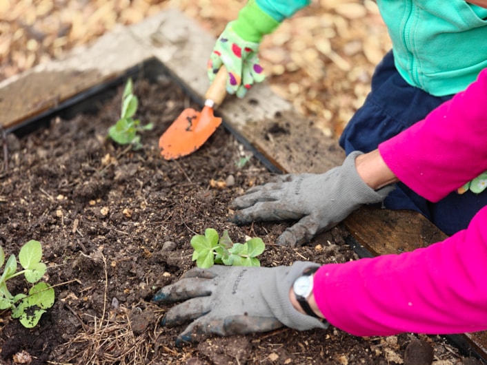 ABCD community garden: A new community garden in Horsforth led by Horsforth Community Assets Project (HCAP) was one of the activities supported by ABCD and by people of all ages.