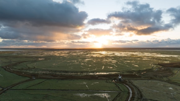 Broads Authority declare a Biodiversity Emergency: Mutton Mill Halvergate Winter©Tom Barrett 20231130 005  cropped