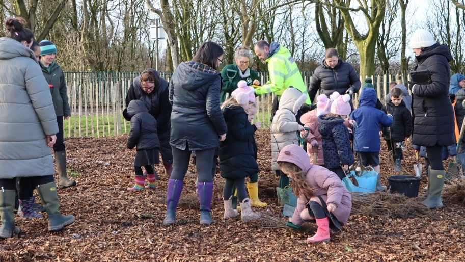 Tree planting is underway