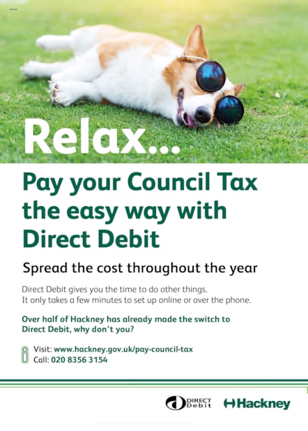 pj60160_directdebitcounciltaxa3poster-2.jpg