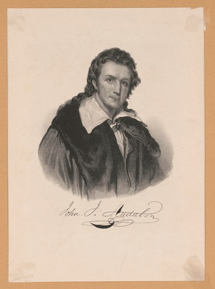 John J. Audubon. Courtesy Library of Congress Prints and Photographs Division Washington, D.C., USA.