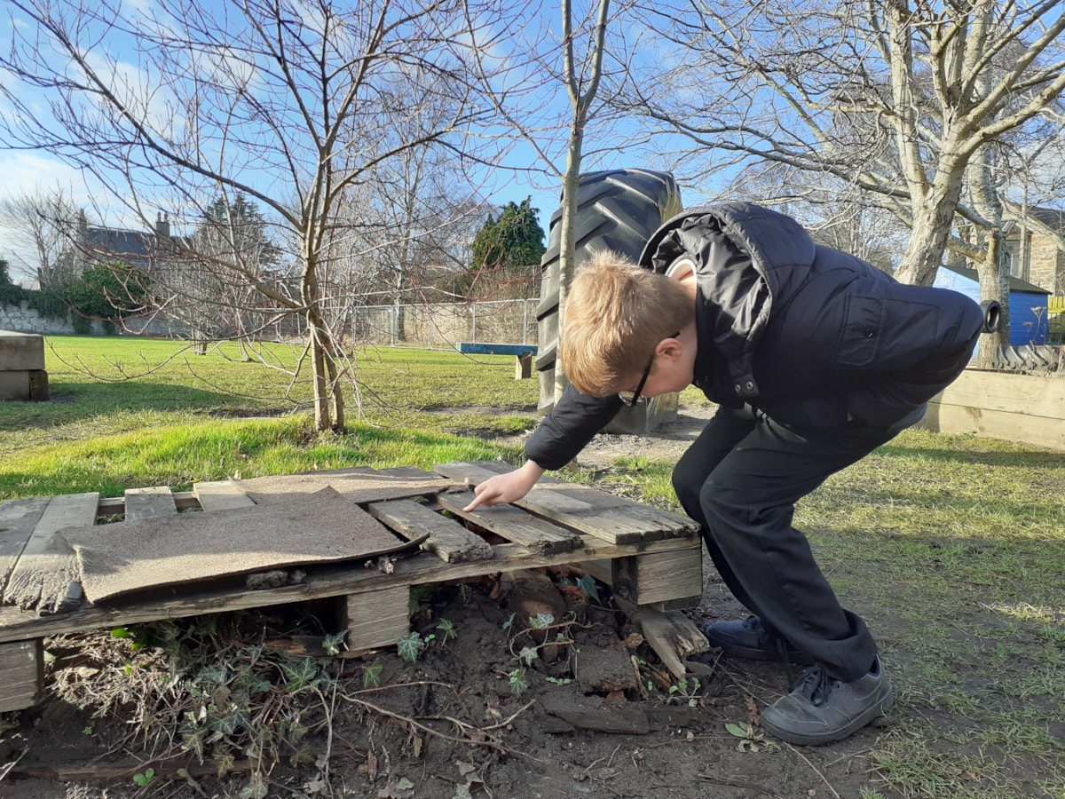 Climate Ready Schools checking on natural habitat