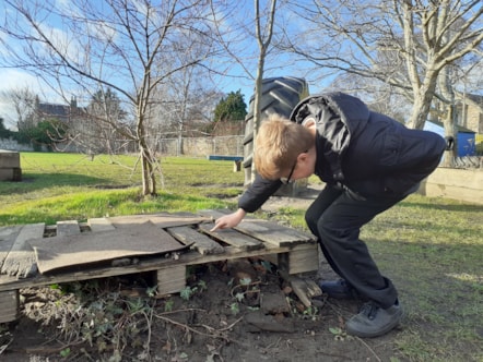 Climate Ready Schools checking on natural habitat