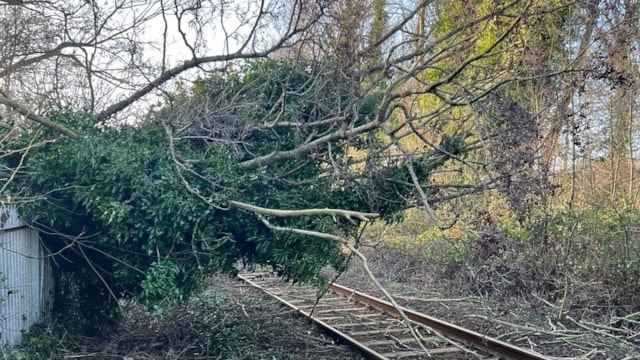 Disruption continues as railway recovery operation underway in Cumbria following Storm Eowyn: Storm Eowyn damage