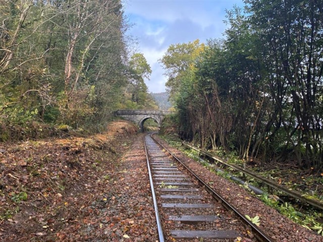 Conwy Valley line deveg Oct2025 - 1: Conwy Valley line deveg Oct2025 - 1