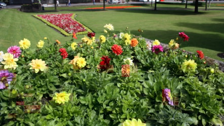 Coronation gardens-3