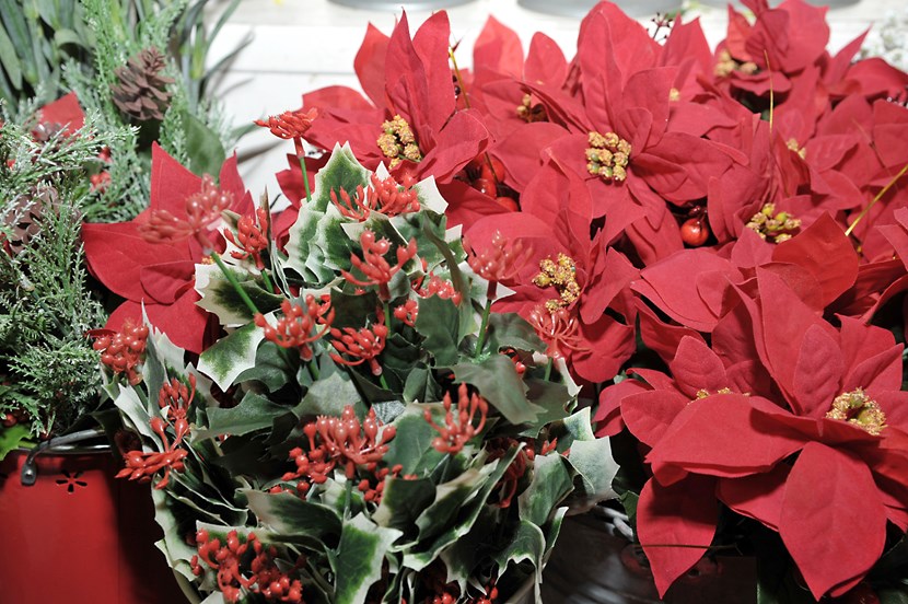 Christmas countdown begins at Leeds Kirkgate Market: christmasflowers-2.jpg