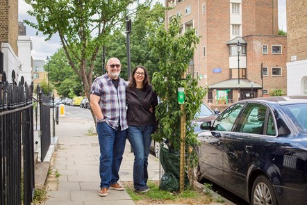 Kate and John sponsored a tree in an empty tree pit outside their house.