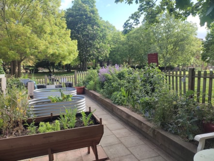 Best Community Garden