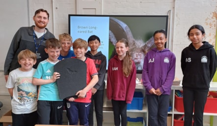 Wilson Primary bats 1