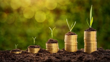 Money Environmental Growth