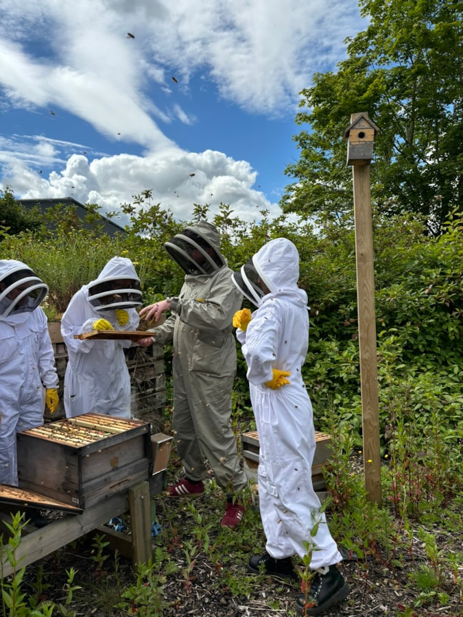 Motability Operations lunchtime beekeeping