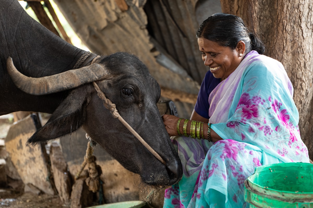 INDIA_MUJER_NAVARRO,NÚRIA