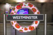Westminster Poppy roundel: Westminster Poppy roundel