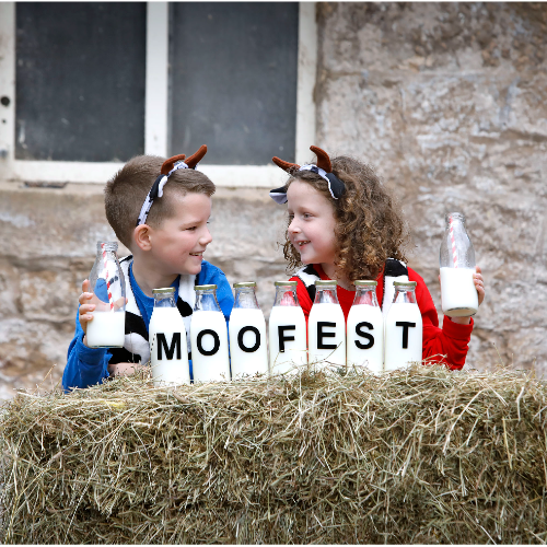 MooFest at the National Museum of Rural Life