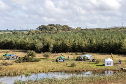 GSAB Hannahston Woodland Nature Day (4)