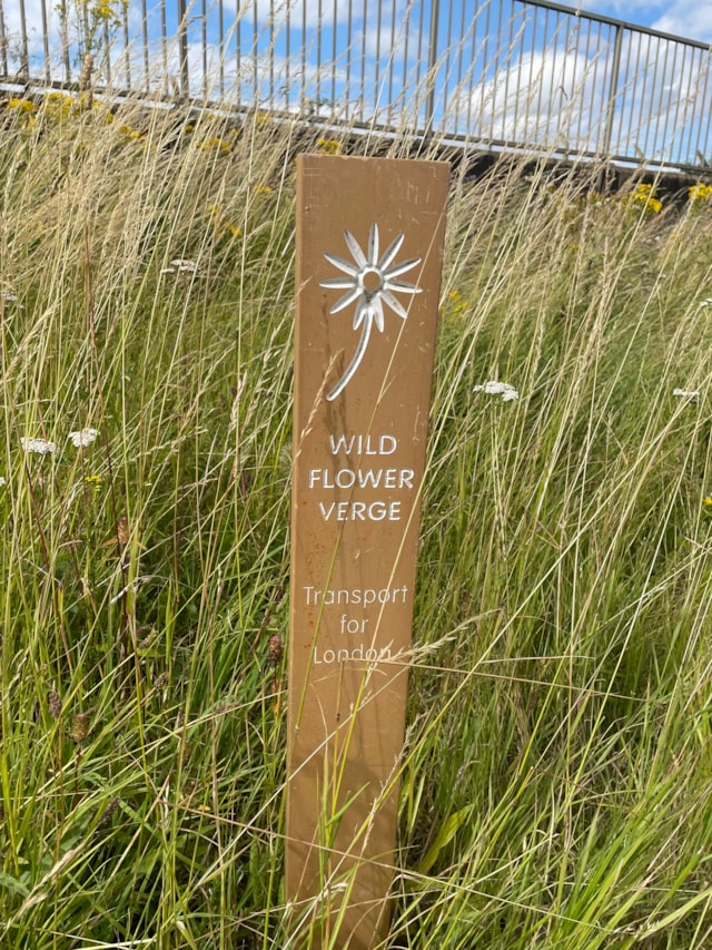 TfL Image - Rowley Lane (Wildflower Verge)