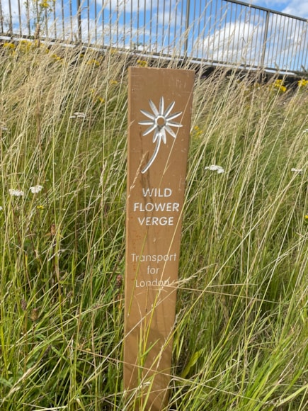 TfL Image - Rowley Lane (Wildflower Verge)