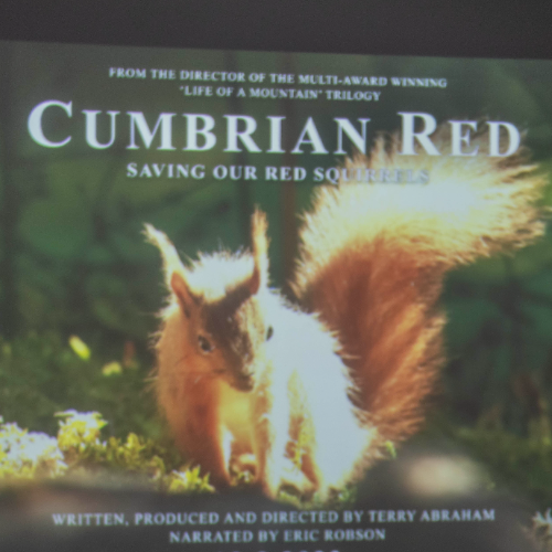 Cumbrian Red - July 2023