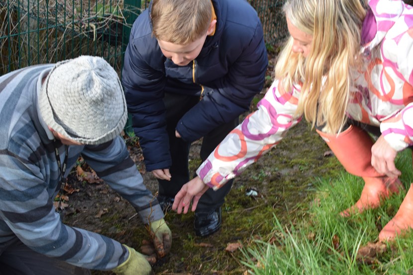 School children in Leeds are rooting for the planet this Valentine's Day: Tree planting 3
