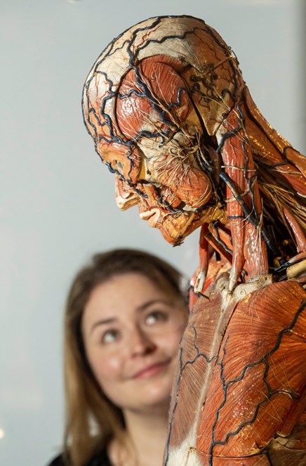 Curator Sophie Goggins with a rare anatomical model by Louis Auzoux, 19th-century, on loan from University of Aberdeen Museums and Special Collections. Photo © Neil Hanna (3)