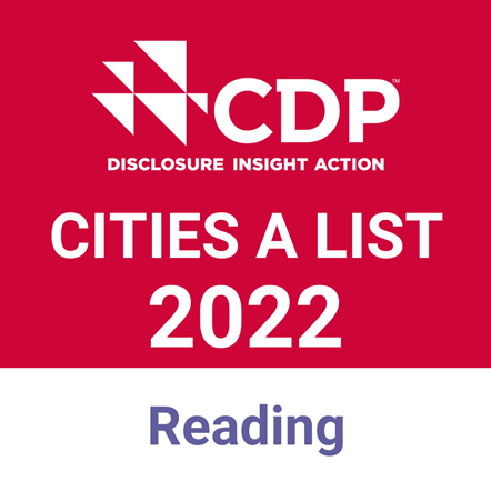 Reading CDP 2022