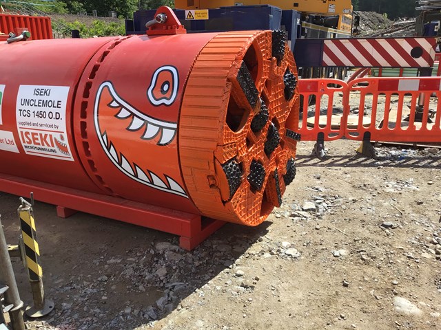 Mole cuts through railway embankment at Lynebeg in Scottish Highlands: IMG 3266