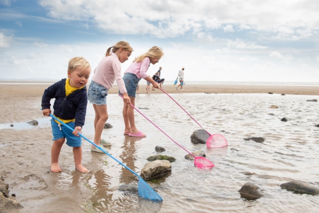 pembrey 62-2