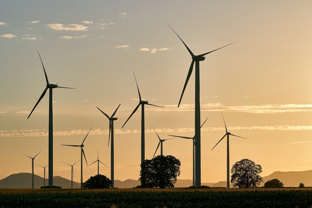 wind farm sunrise