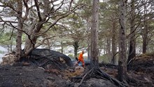 Damage caused by a camp fire on the island of Eilean Eachainn in NatureScot’s Beinn Eighe and Loch Maree Islands National Nature Reserve last year ©Doug Bartholomew/NatureScot