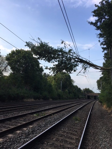 Tree on overhead line St Albans 200718 2