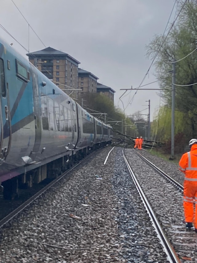 Lostock tree fall 5: Lostock tree fall 5