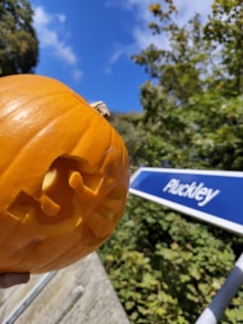 SE pumpkin at Pluckley: SE pumpkin at Pluckley