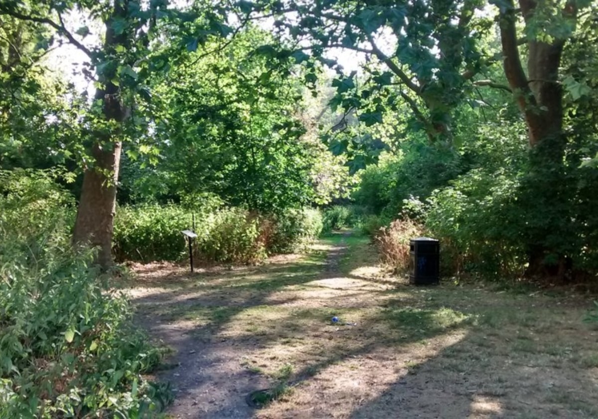Wick_Woodland
